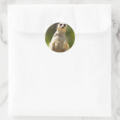 Meerkat Runder Aufkleber (Tasche)