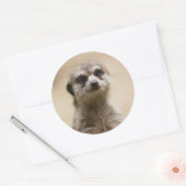meerkat runder aufkleber (Umschlag)