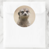 meerkat runder aufkleber (Tasche)