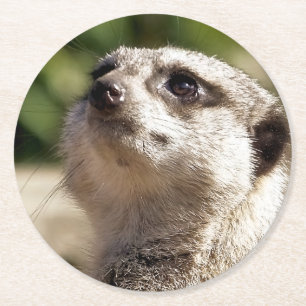 MEERKAT RUNDER PAPPUNTERSETZER