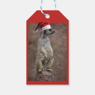 Meerkat Santa Claus Geschenkanhänger