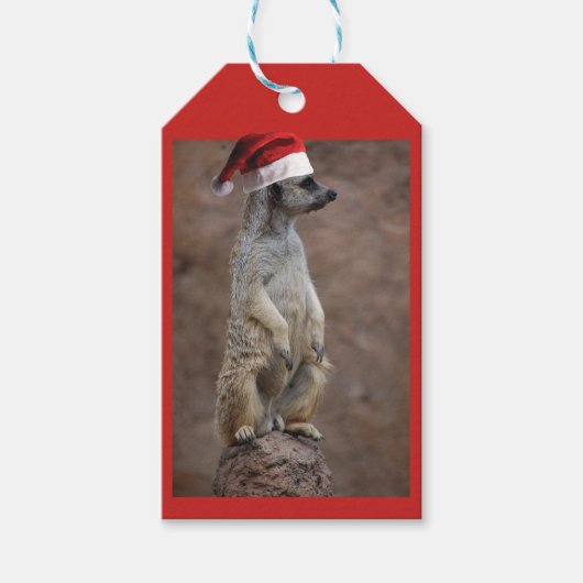 Meerkat Santa Claus Geschenkanhänger (Vorderseite)