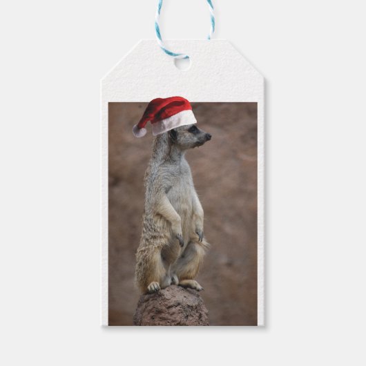 Meerkat Santa Claus Geschenkanhänger (Vorderseite)