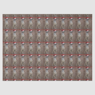 Meerkat Santa Claus Seidenpapier