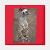 Meerkat-Santa Magnet (Vorne)