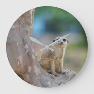 Meerkat SAT auf Baum Große Wanduhr