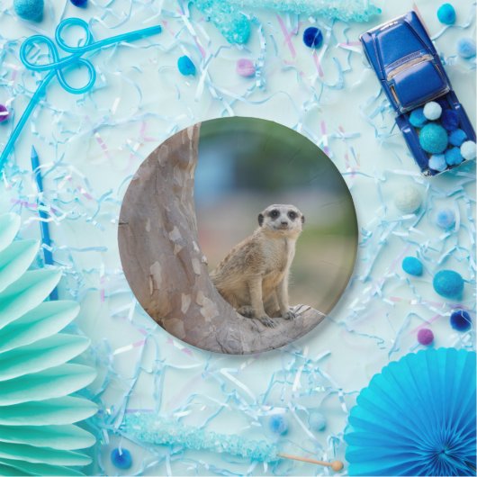 Meerkat SAT auf Baum Pappteller (Party)