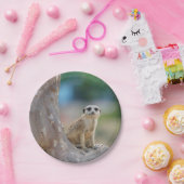 Meerkat SAT auf Baum Pappteller (Party)
