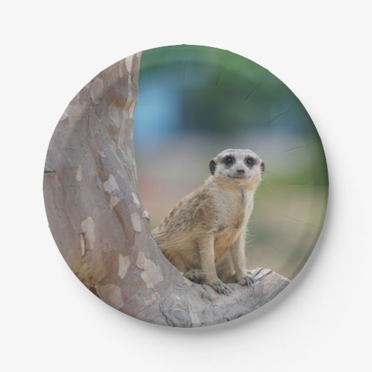 Meerkat SAT auf Baum Pappteller (Vorderseite)
