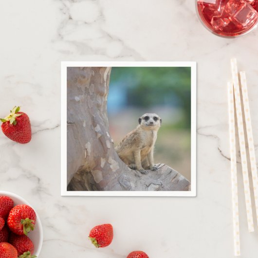 Meerkat Sat on Tree Serviette (Beispiel)