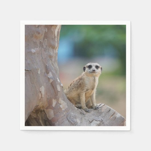 Meerkat Sat on Tree Serviette (Vorderseite)