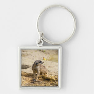 Meerkat Schlüsselanhänger