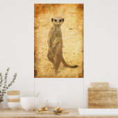 Meerkat Schutz Poster (Küche)