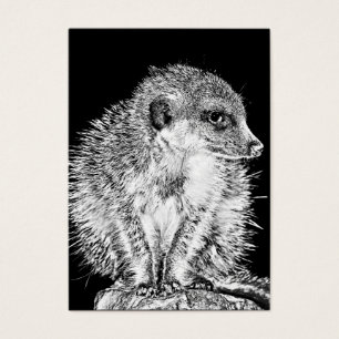 Meerkat, Schwarzweiss