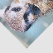 MEERKAT SEIDENPAPIER (Ausschnitt)