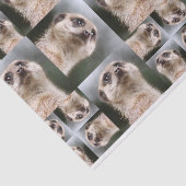 Meerkat Seidenpapier (Ausschnitt)