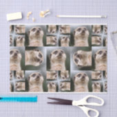 Meerkat Seidenpapier (Handwerk)
