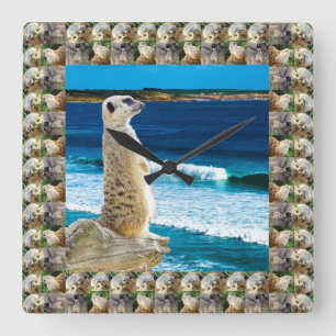 Meerkat Sentry Watching am Strand, Quadratische Wanduhr