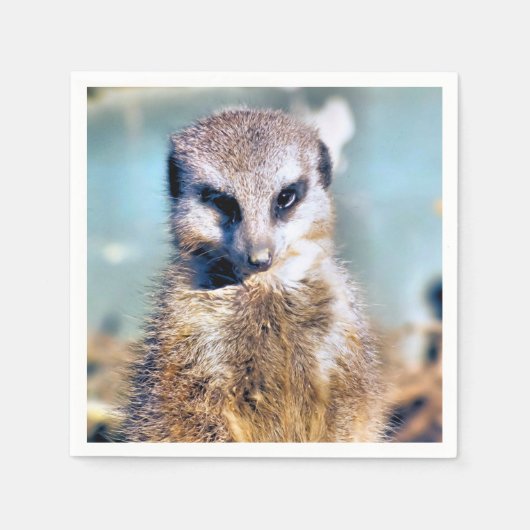 MEERKAT SERVIETTE (Vorderseite)