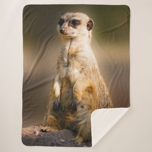 MEERKAT SHERPADECKE (Vorderseite)