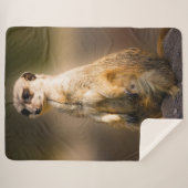 MEERKAT SHERPADECKE (Vorderseite (Horizontal))