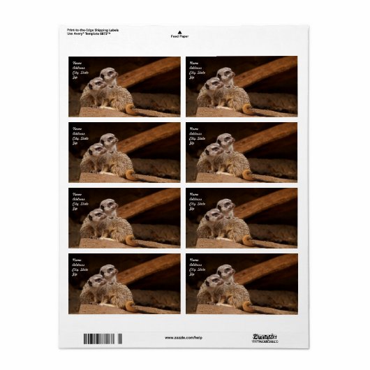 Meerkat Shipping Label (Vorne)
