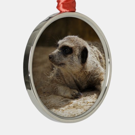 Meerkat Silbernes Ornament (Rechts)