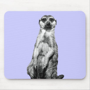 Meerkat Singrün-Hintergrund Mousepad