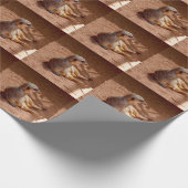 Meerkat Sitting Fotografie, Geschenkpapier (Ecke)