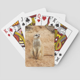 Meerkat Spielkarten