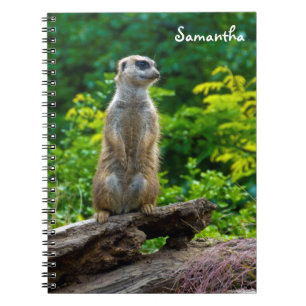 Meerkat Spiralnotizbuch Notizblock