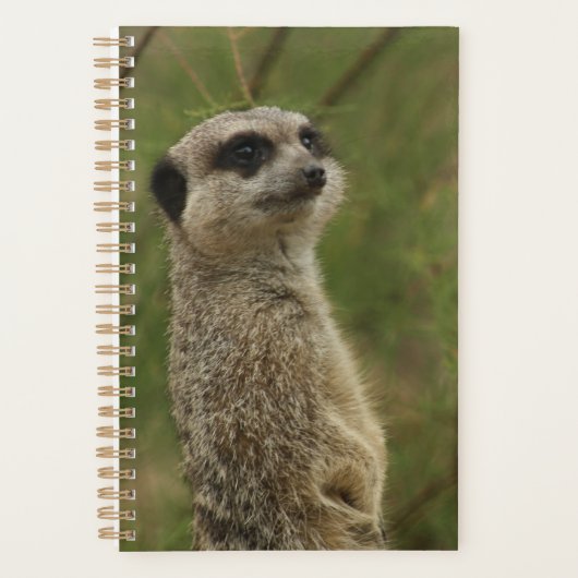 Meerkat Spiralplaner und Notizbuch Planer (Vorderseite)