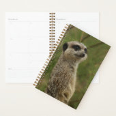 Meerkat Spiralplaner und Notizbuch Planer (Anzeige)