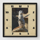 Meerkat Square Clock Quadratische Wanduhr (Vorderseite)