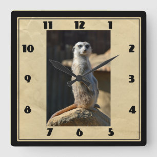 Meerkat Square Clock Quadratische Wanduhr