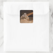 Meerkat Square Sticker (Tasche)