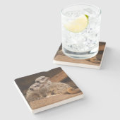 Meerkat Square Untersetzer (Seitenansicht)