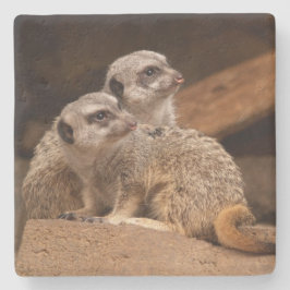Meerkat Square Untersetzer