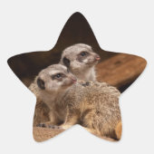 Meerkat Star Sticker (Vorderseite)