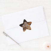 Meerkat Star Sticker (Umschlag)