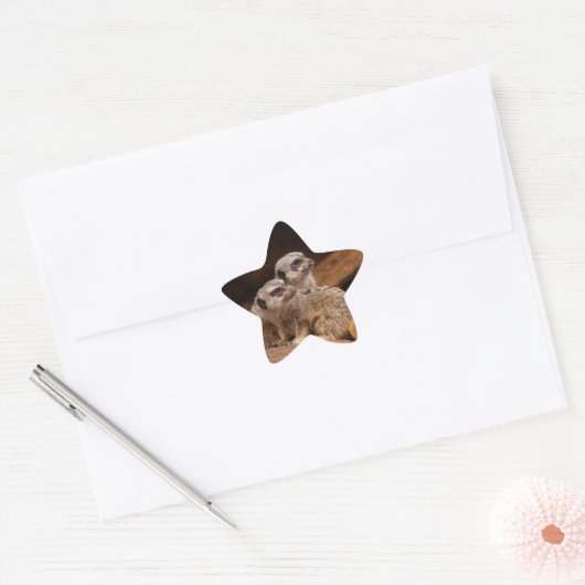 Meerkat Star Sticker (Umschlag)