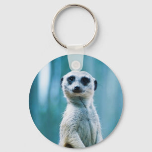 Meerkat Staredown - Der Schlüsselanhänger