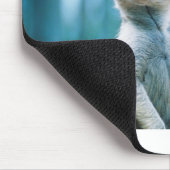 Meerkat Staredown Mousepad (Ecke)