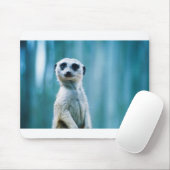 Meerkat Staredown Mousepad (Mit Mouse)