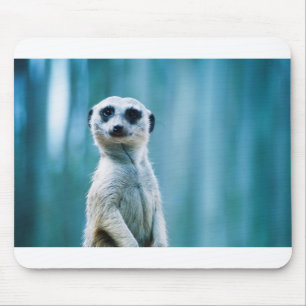 Meerkat Staredown Mousepad