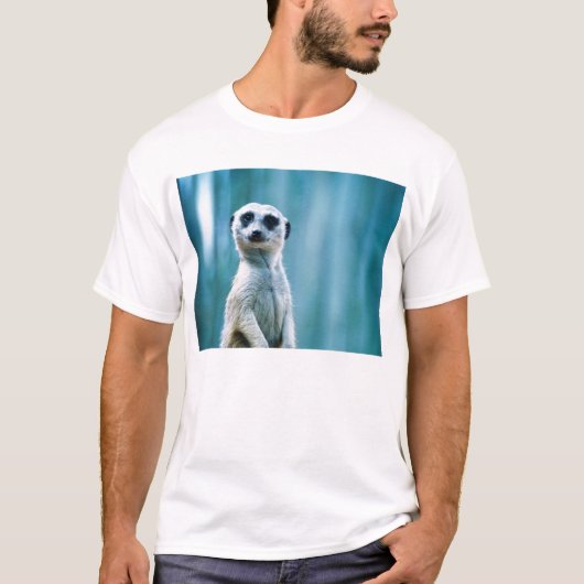 Meerkat Staredown-T-Shirt T-Shirt (Vorderseite)