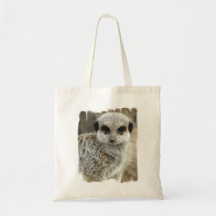 Meerkat stellen kleine Tasche gegenüber