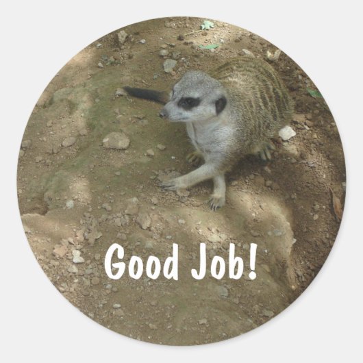 Meerkat Stickers (Vorderseite)