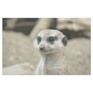 Meerkat Stoff