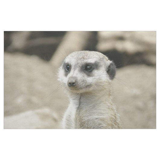 Meerkat Stoff (Yard (91,4 cm))